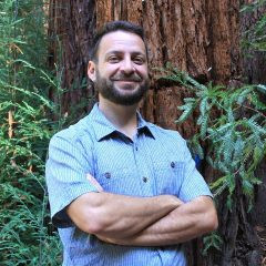 David Bienenstock