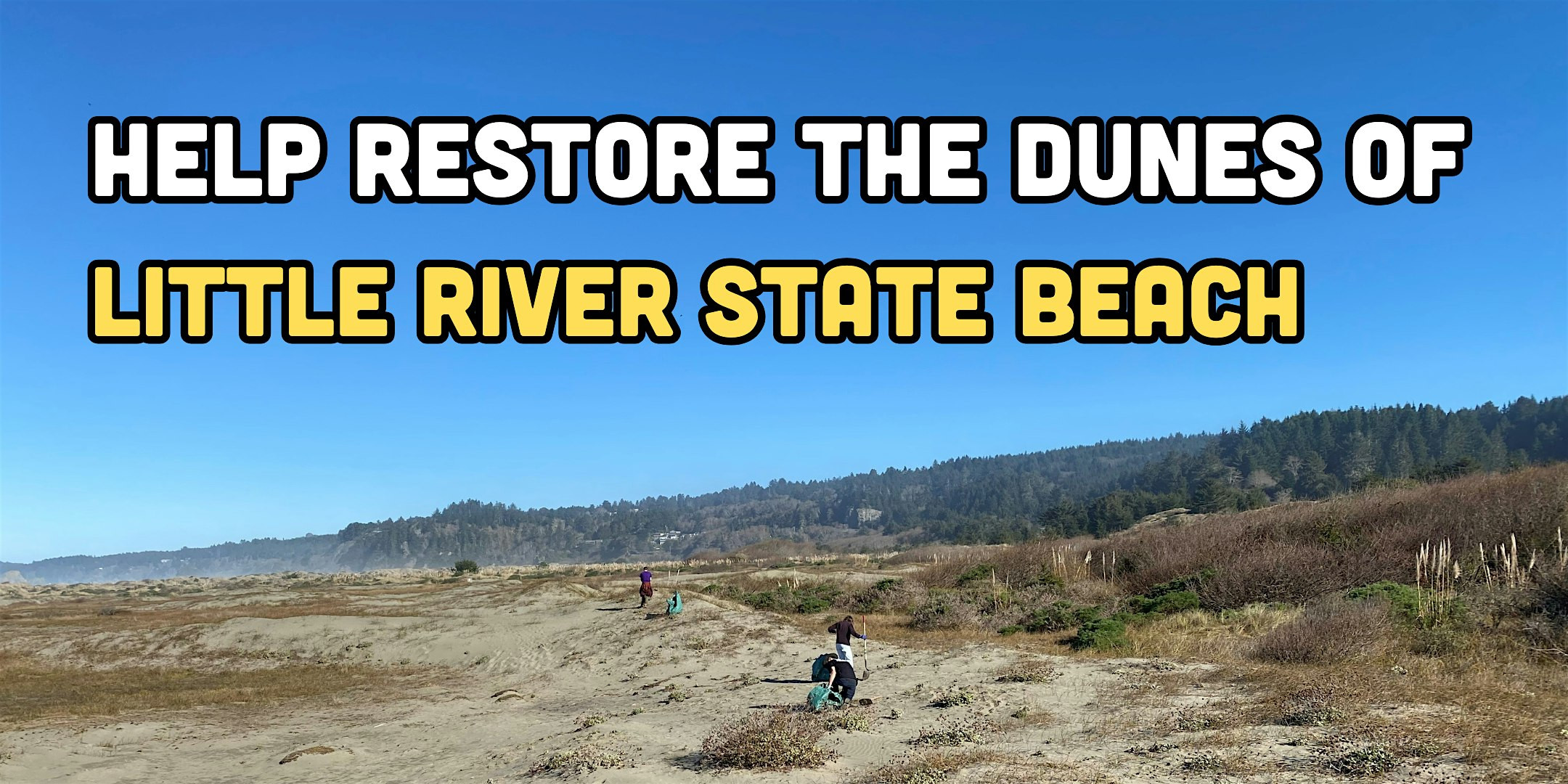 Help restore Little River State Beach!