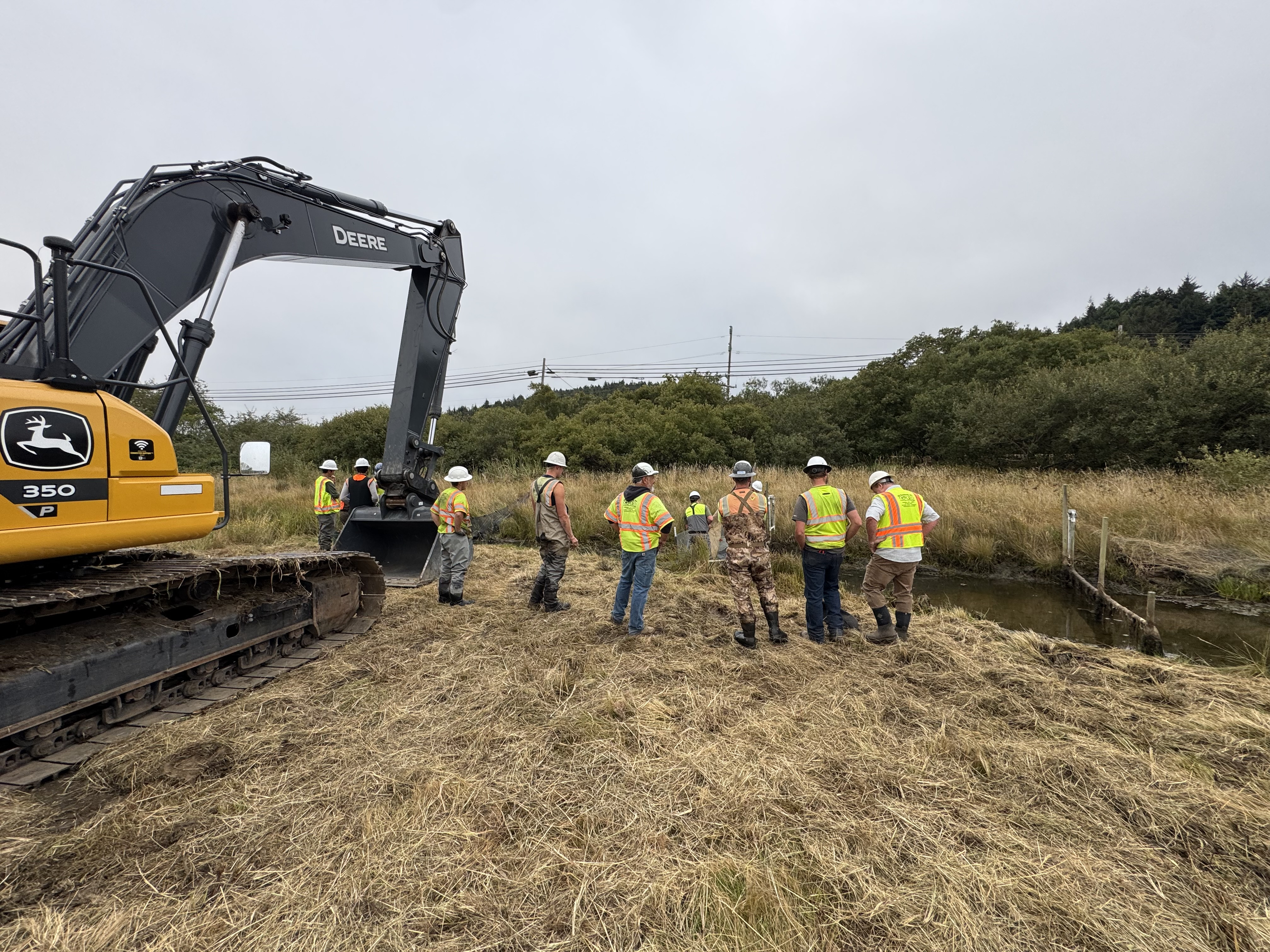 Wood Creek Restoration Celebration