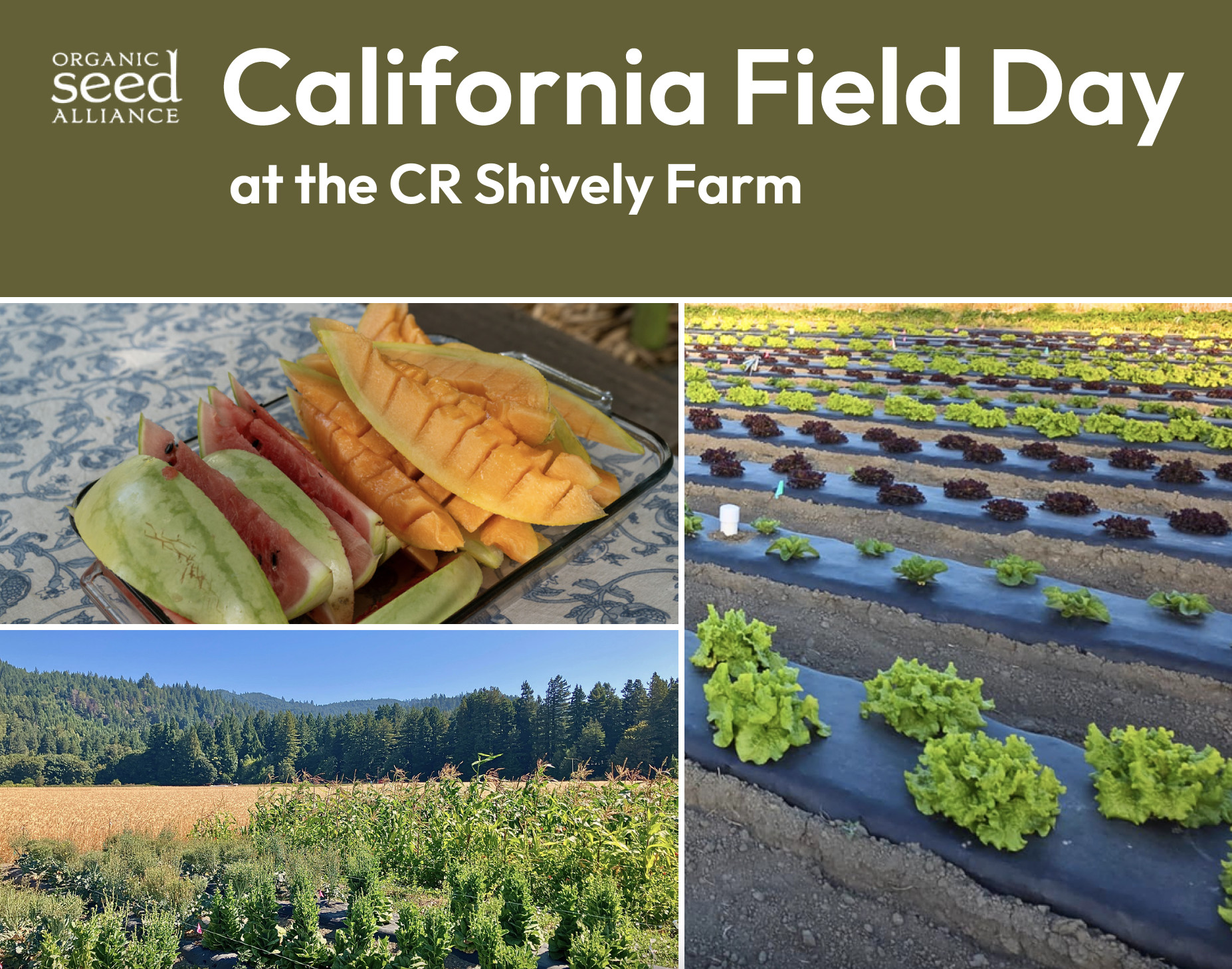 California Field Day 2026