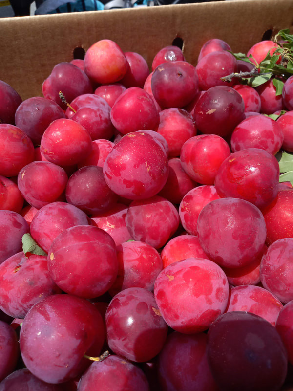 Old Town Eureka Farmers' Market