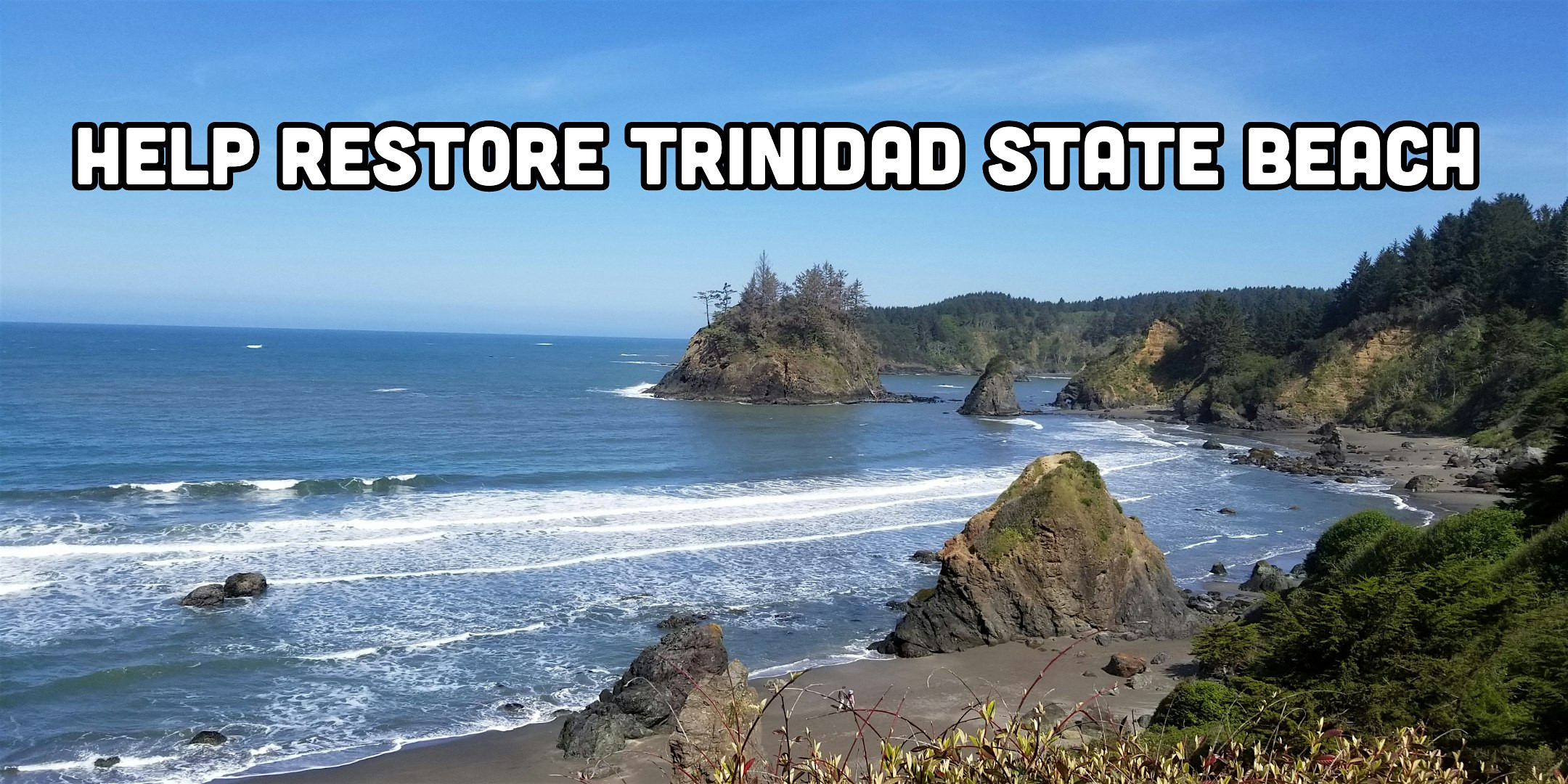 Help restore Trinidad State Beach!