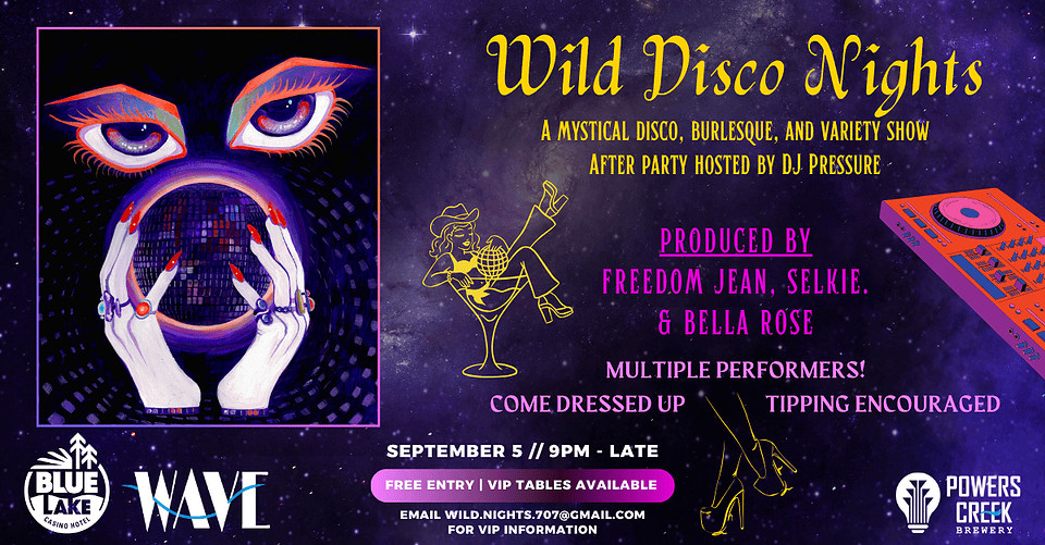 Wild Disco Nights