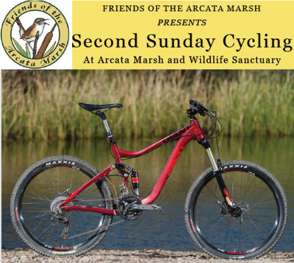 Second Sunday Cycling at Arcata Marsh