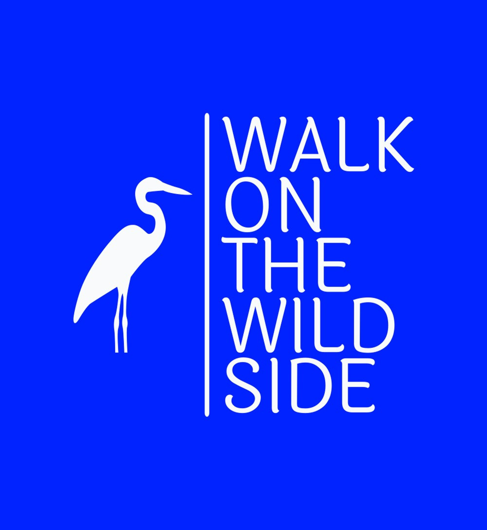 Walk on the Wild Side