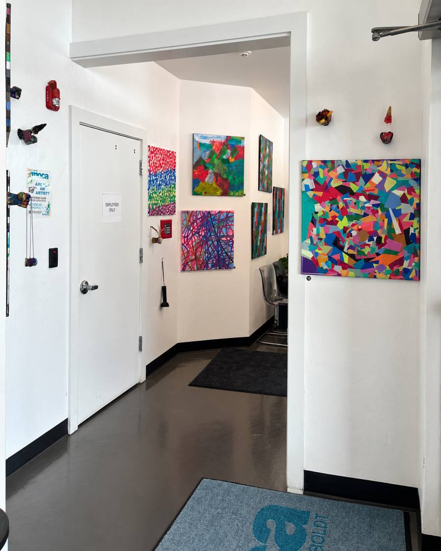 Josh Stein installation