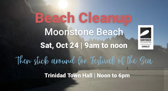 Surfrider’s Beach Cleanup