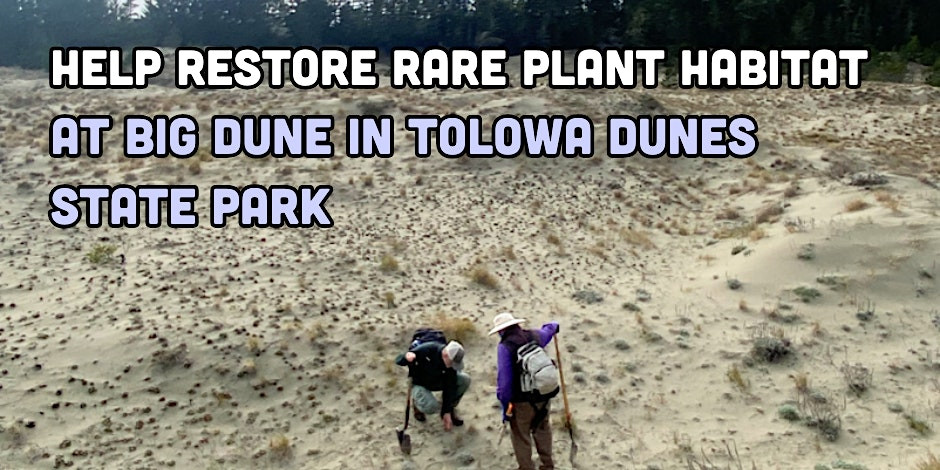 Help restore Big Dune in Tolowa State Park!