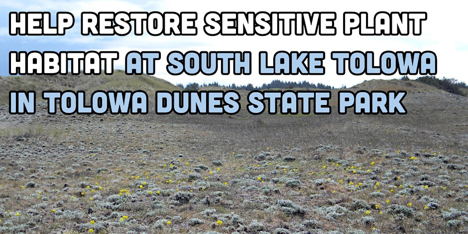 Help restore habitat for sensitive plants at South Lake Tolowa in Tolowa SP