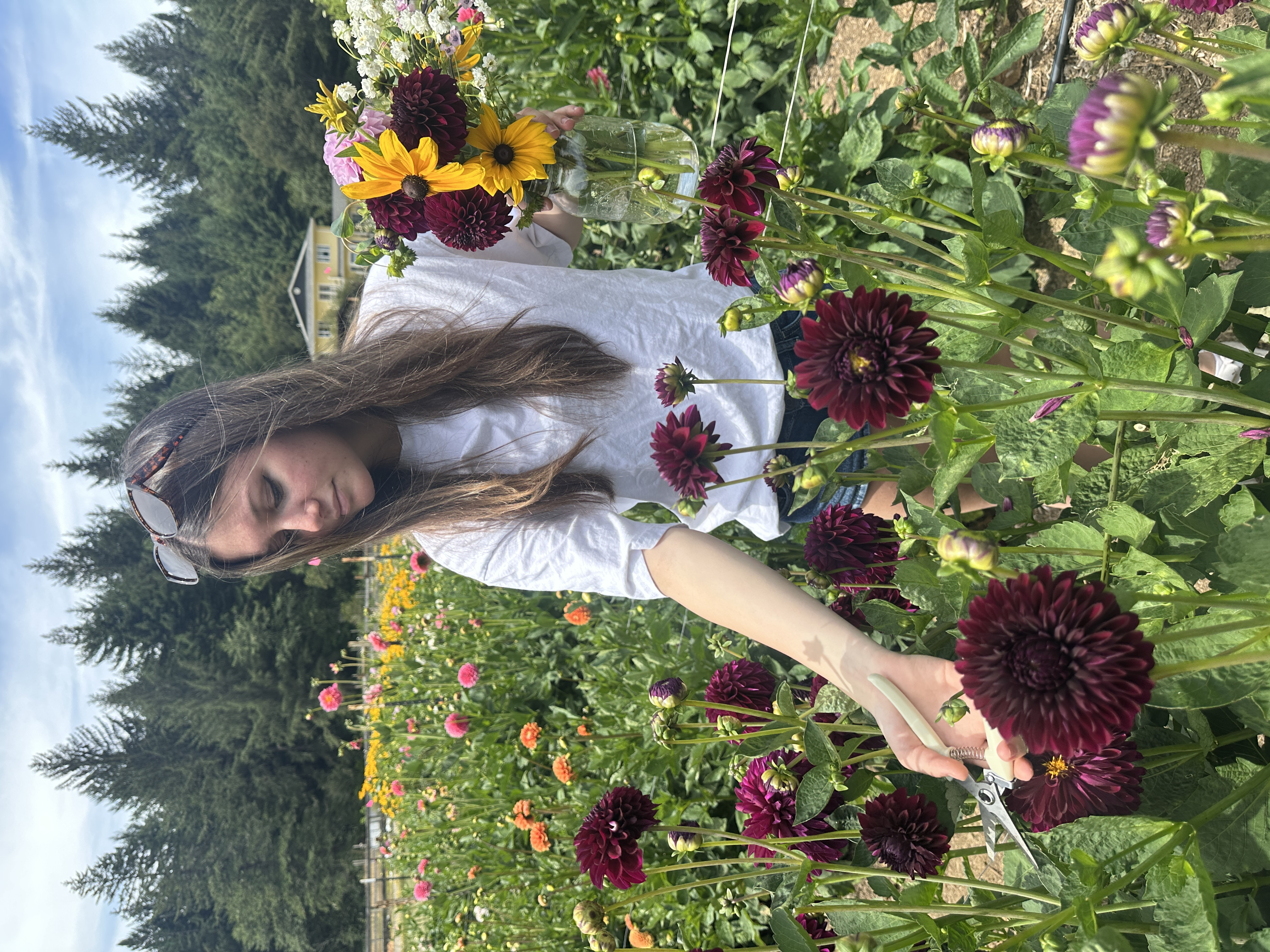 Flower Farm U-Pick