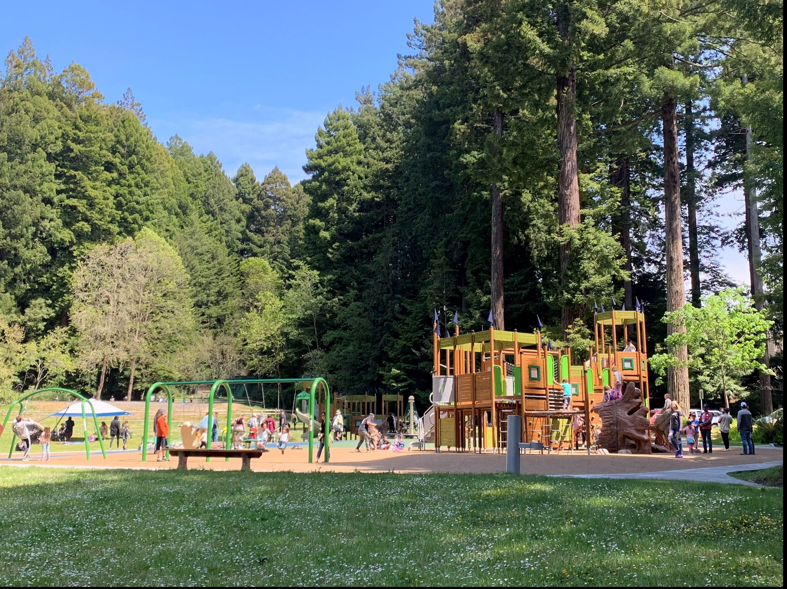 Redwood Park