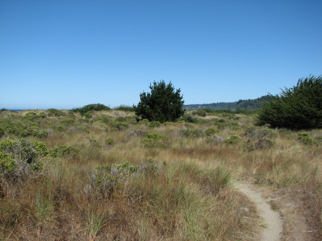 Little River State Beach