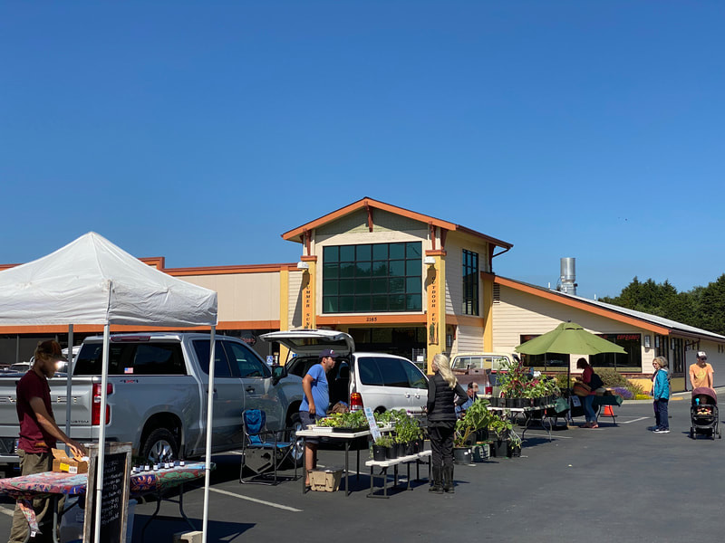 Eureka Natural Foods Parking Lot
