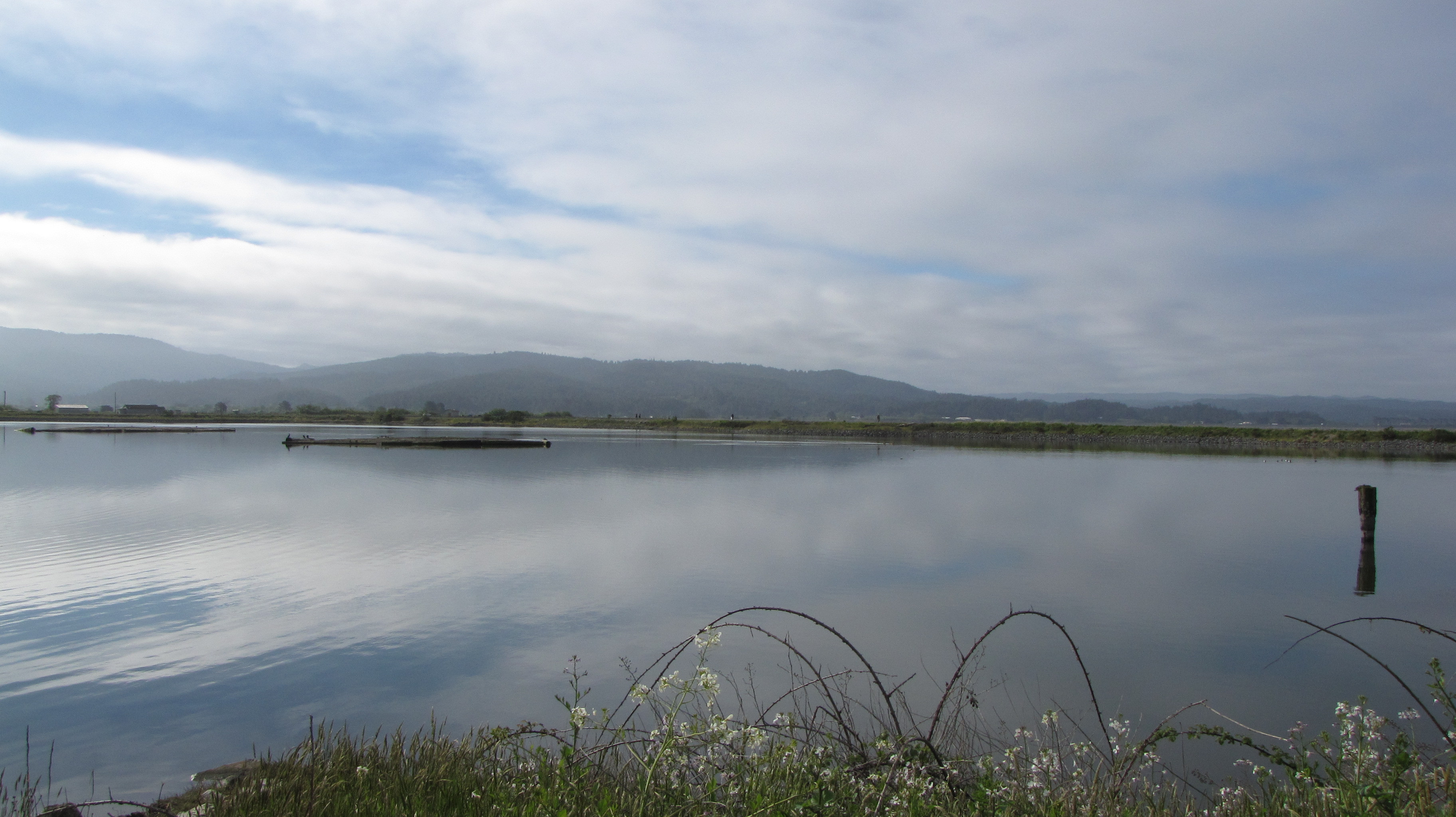 Arcata Marsh Interpretive Center