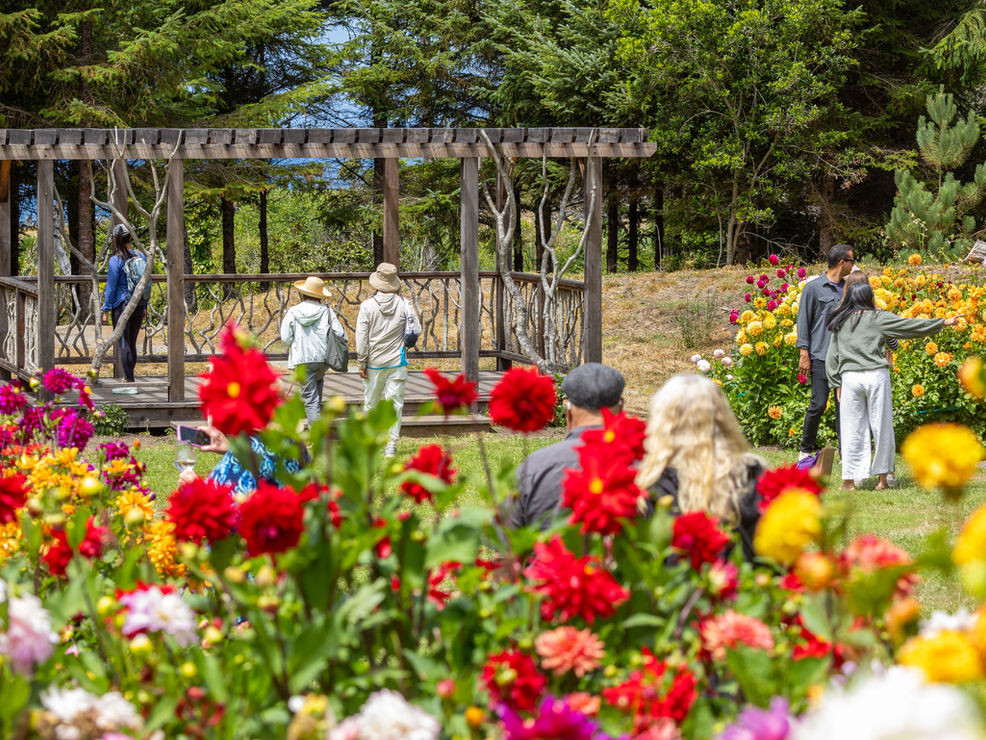 Mendocino Coast Botanical Gardens