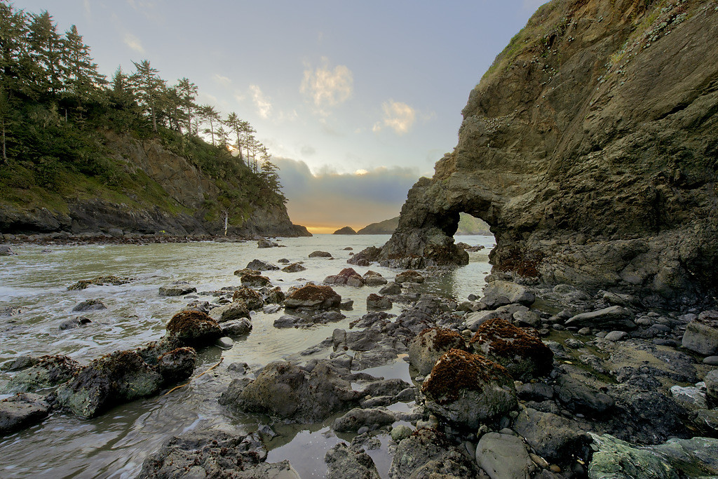Trinidad State Beach